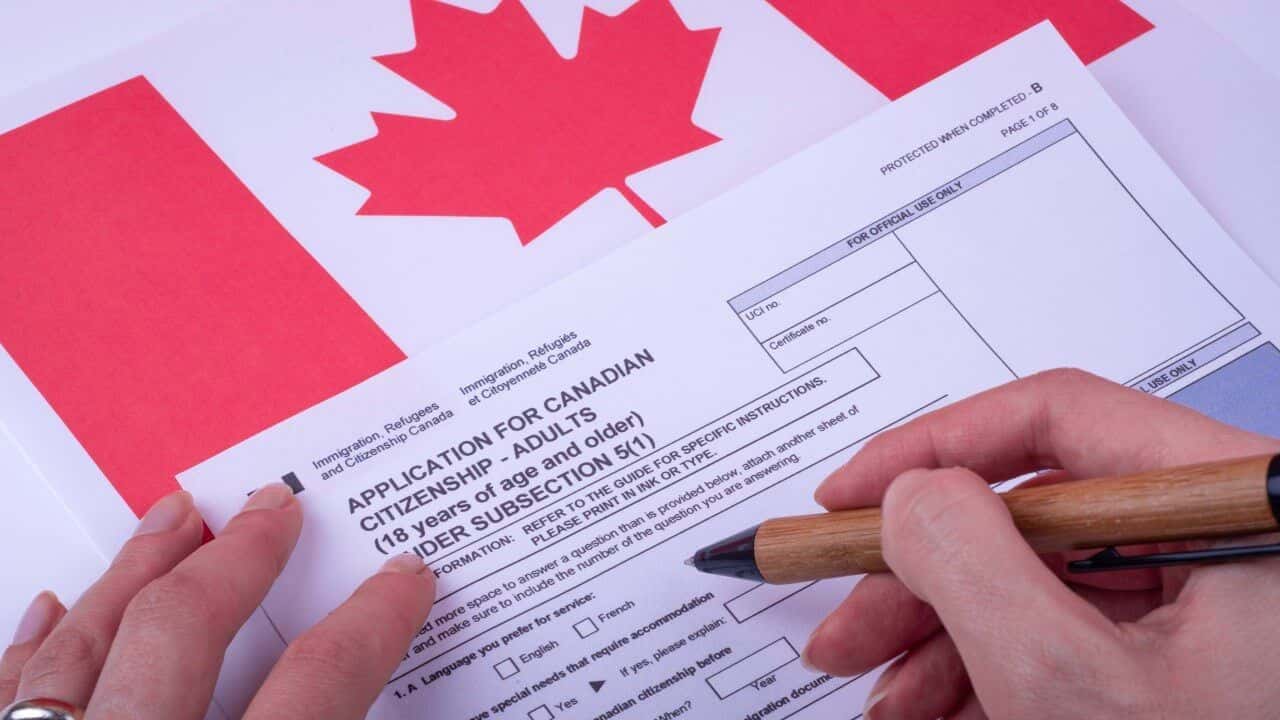 Six Questions to Help you Find a Genuine Job Recruitment Service for Canada